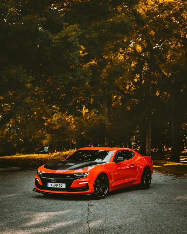Camaro: Aufnahme in herbstlicher Umgebung